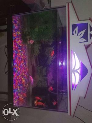 Aquarium with stand for sale