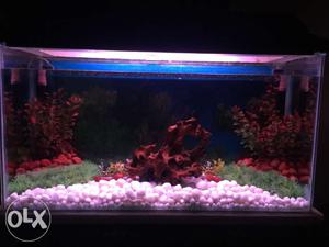 Aquarium with top and other accesories NO STAND