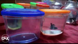BETTA FISH POT... 50 rs /piece... Home delivery