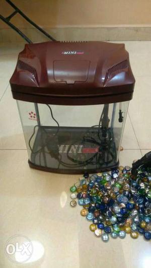 Fish Tank With Pebbles And Filter Set New With