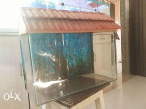 Fish Tank with Top Cover & Guppy Fish