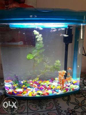 Fish Tank with filter, and LED light
