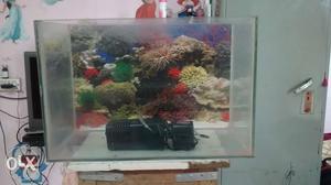 Fish aquarium with water filter for sale.
