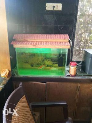 Fish,tank,motor, all