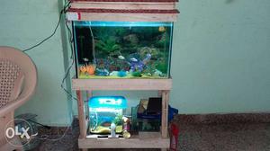 Fish tank new one month old Chennai triplicane
