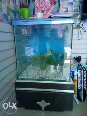 Fish tank with cover and cabinet