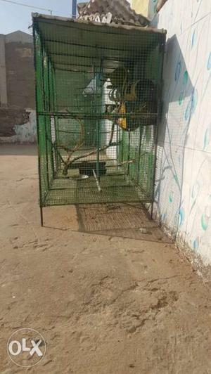 Green Mesh Pet Bird Cage...