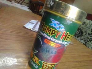 Humpy Head Fish Food Container