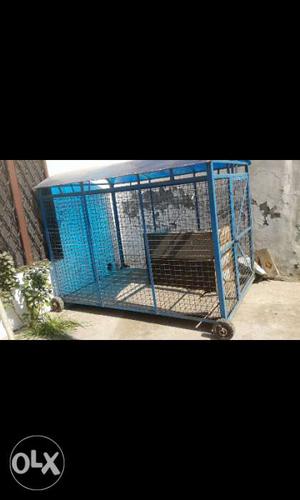 Iron dog cage