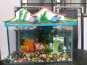 New Fish tanks with all accessories