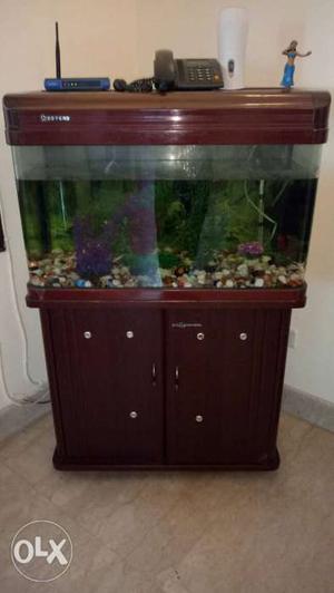 New condition fish House