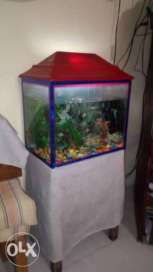 One month dight for fishes free with aquarium