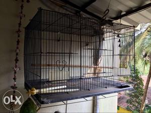 Rectangular Black Metal Bird Cage