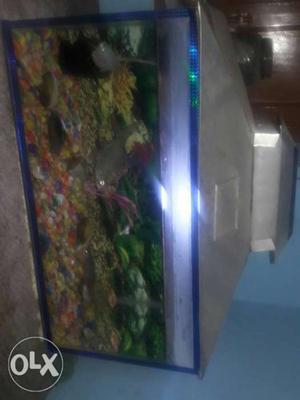 Rectangular Silver Fish Tank