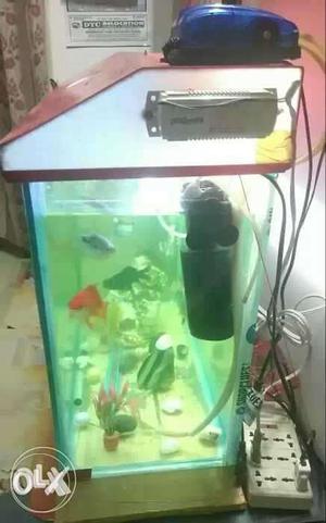 Red And Gray Framed Fish Tank