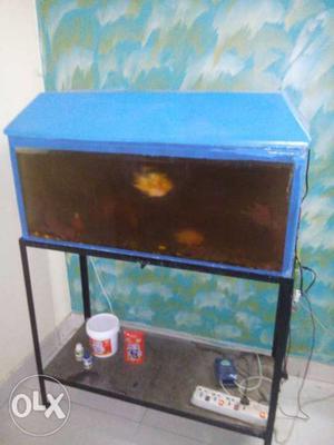 Running Aquarium and stand with all accessories.
