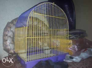 Yellow And Purple Bird Cage with 4 bird (kalyan)