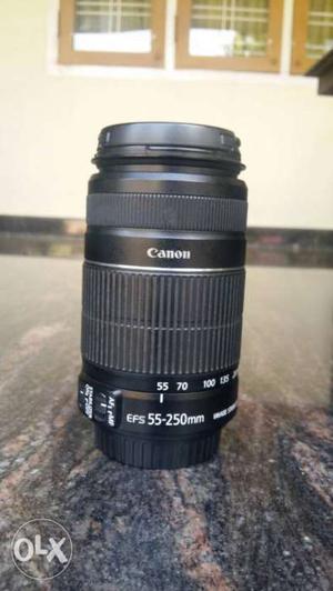 Canon EF-S  mm f/4-5.6 IS II lens (black)