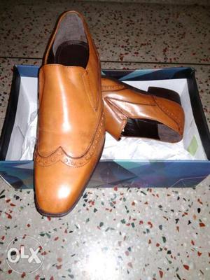 Brand new leather Shoe