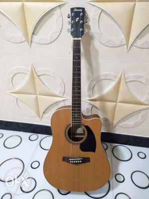 New Ibanez Acoustic/Electric Guitar with complete