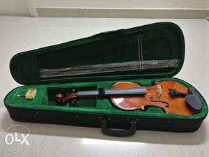 Newly bought violin 2 months back. It is unused