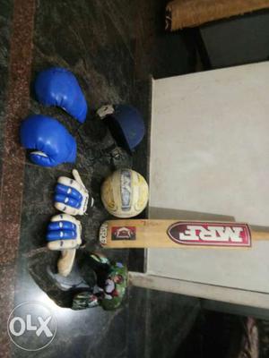 Pair Of Blue Boxing Gloves And Brown MRF Cricket Bat