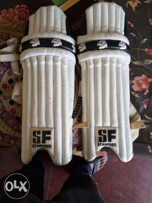 Pair Of White-and-black SF Cricket Pads