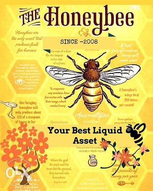 The Honeybey Text