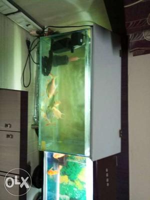 2 ft fish tank with 4 tinfoil good condition