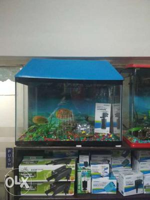 2ft complete aquarium set with 12 fish and all