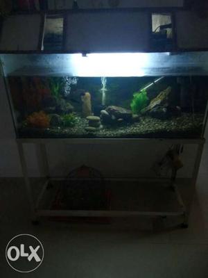 3.5ft Aquarium sell.. with all accessories and