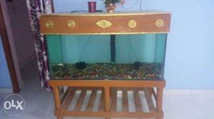 4ftx 2ft two months old fish tank with colour