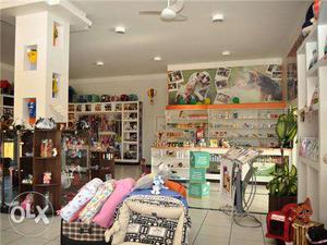 A Pet Shop All Types Dog's Cat puppy Dog Foods & Accessories
