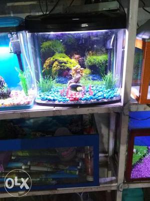 All kind of tank available price starts from 