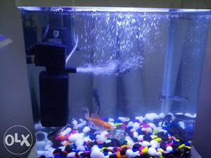 Aquarium with 2 filter 4 fishes and water heater
