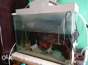 Aquarium with Fishes for Sale