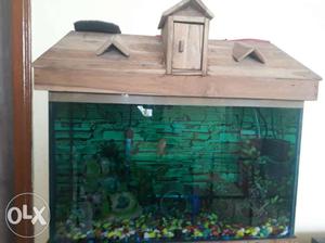 Beautiful 2ft. aquarium with wooden hut
