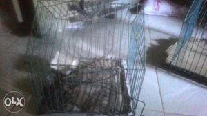 Birds cage, pingra 1 small size 1 big size