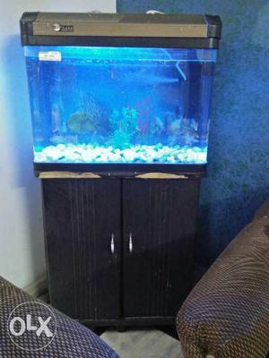 Black And Brown Framed Pet Tank With Cabinet