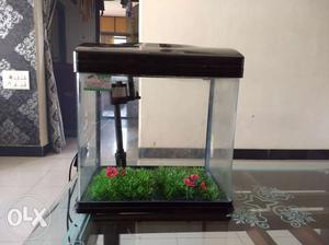 Black aquarium with pre installed filter and led