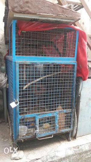 Blue And Gray Steel Pet Cage