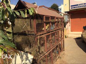 Chicken cage, 30 kg & plastic cage