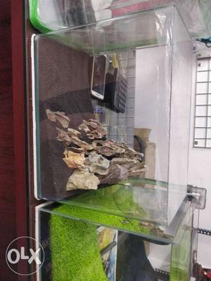 Dry scaped moulded tank with Soil