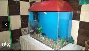 Fish Aquarium.and marble only