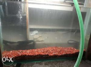 Fish Tank..