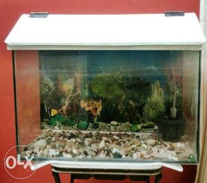 Fish Tank for sale, with stones, oxygen machine,