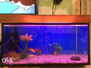 Fish Tank size is L/30”x W/15”xH/15”