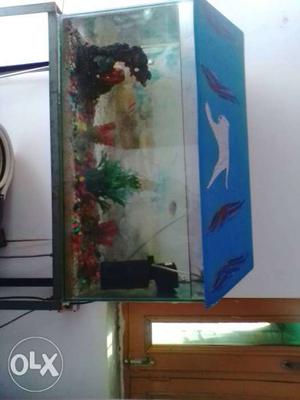 Fish aquarium 2.5 feet Long, filter, 2 fish with iron stand