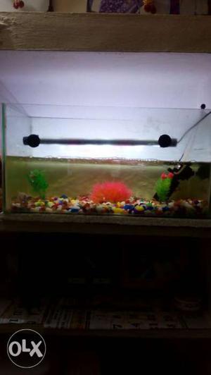 Fish tank (20''X10'') with Bubble motor, Led