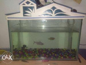 Fish tank aquarium with 3 fish's for sale with